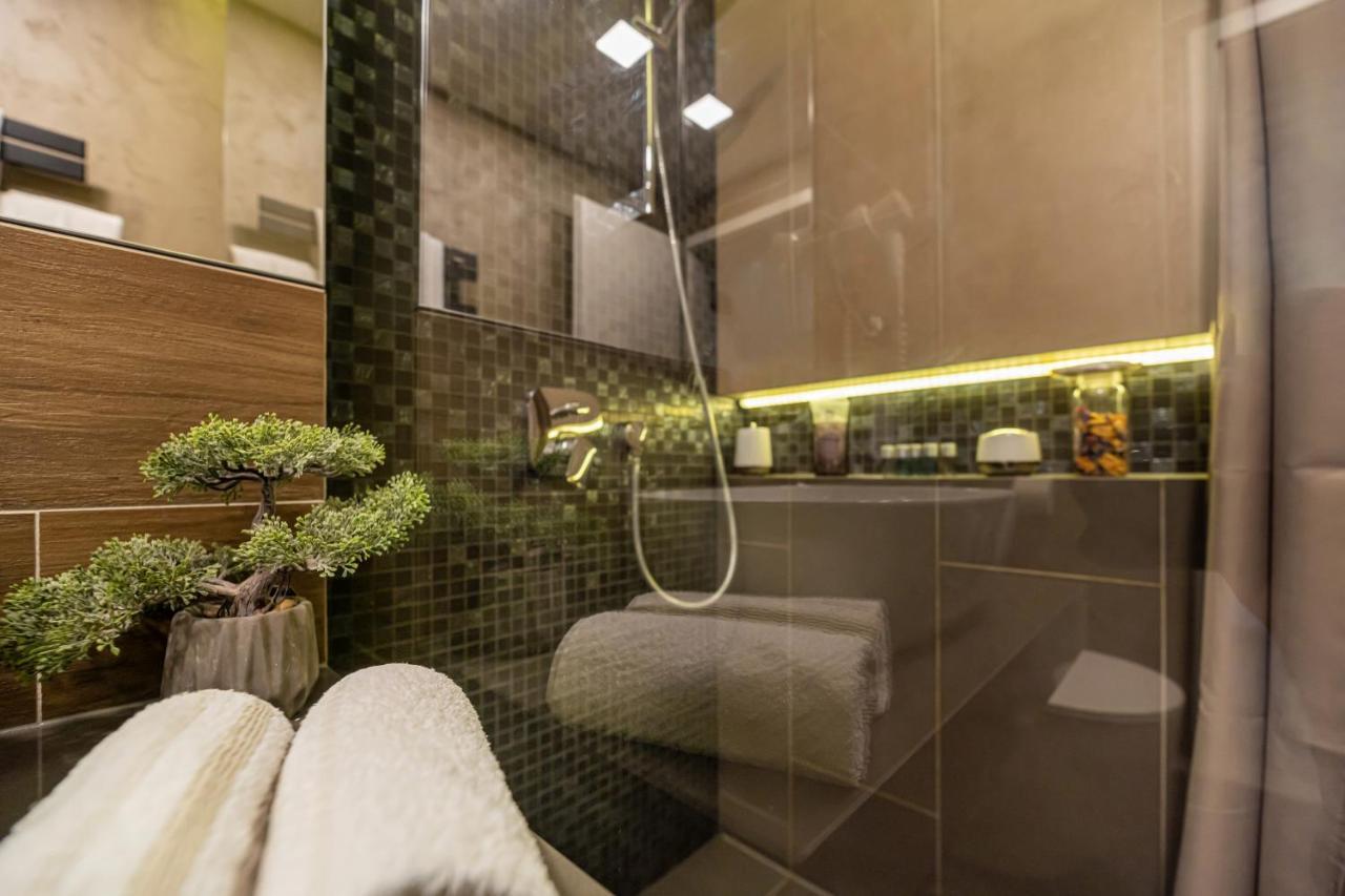 Apartment The Wolf Brasov